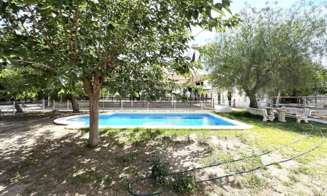 Venta - Casa - Orihuela - Orihuela Centro