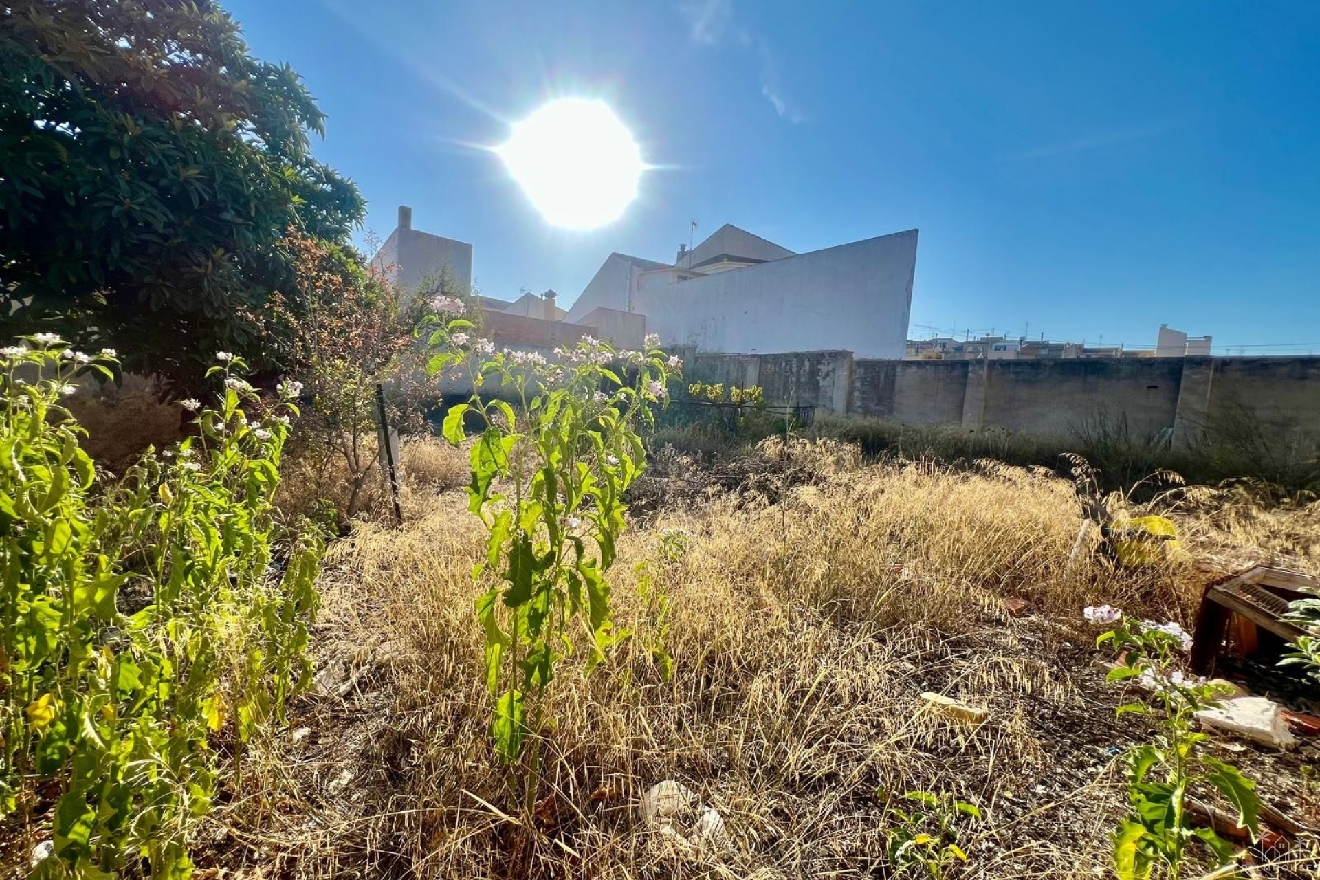Venta - Casa - Pinoso - Inland