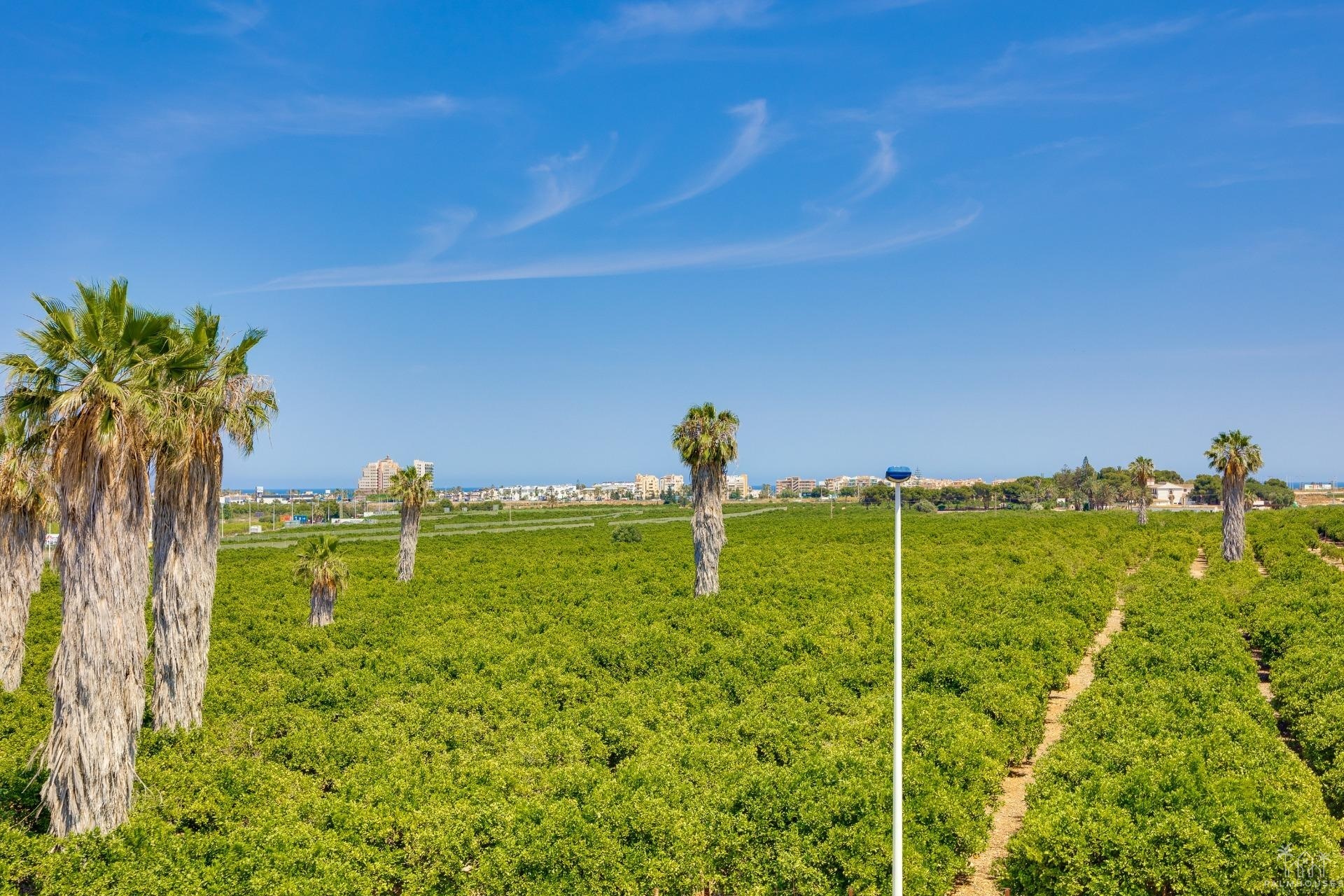 Venta - Casa - Torrevieja - Los Balcones