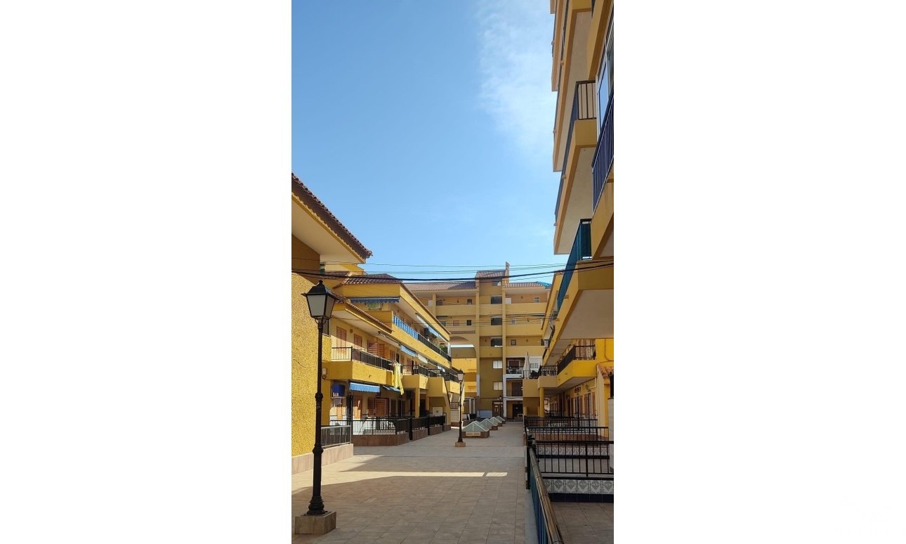 Venta - Casa - Torrevieja - Los Europeos