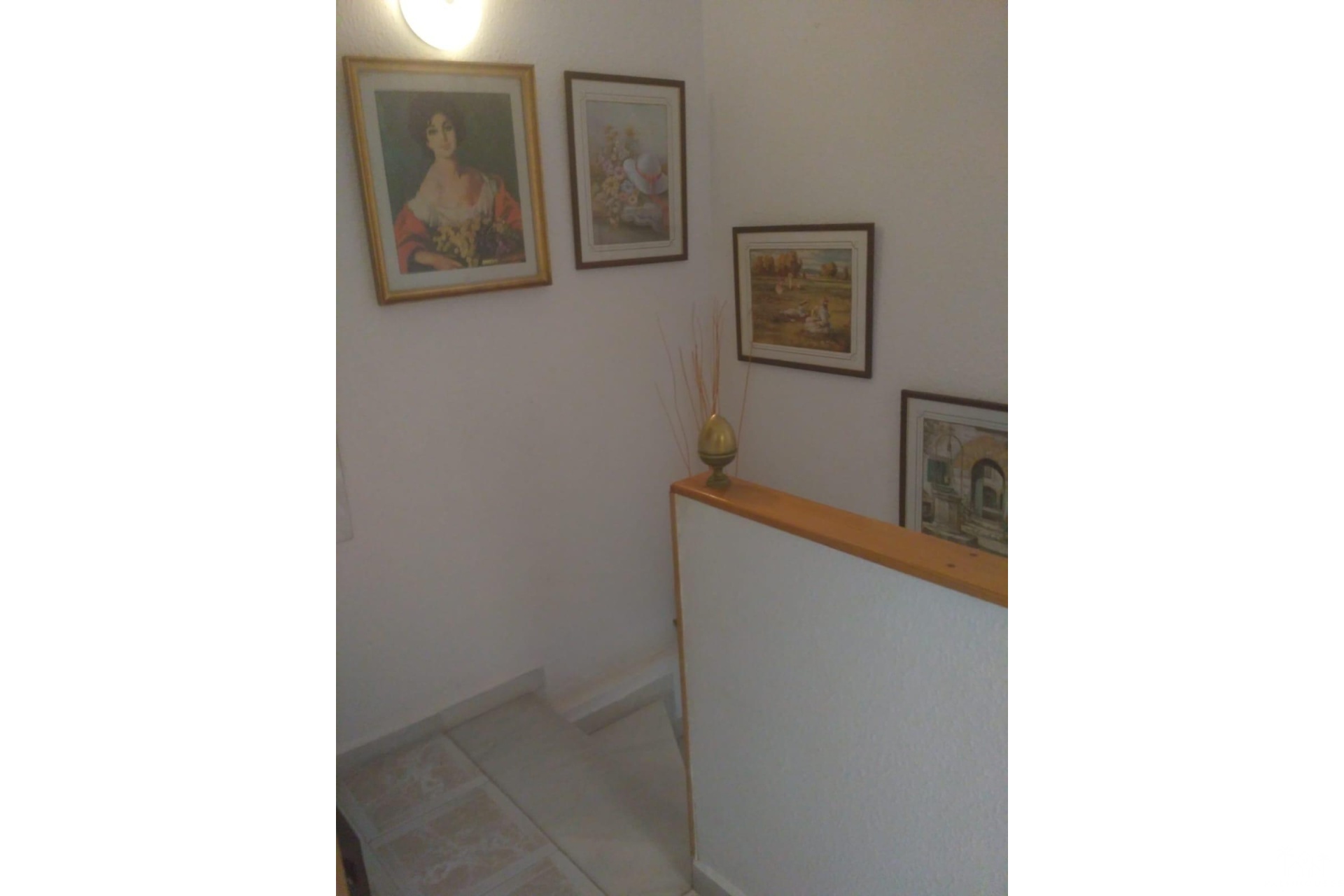 Venta - Casa - Torrevieja - Los Europeos
