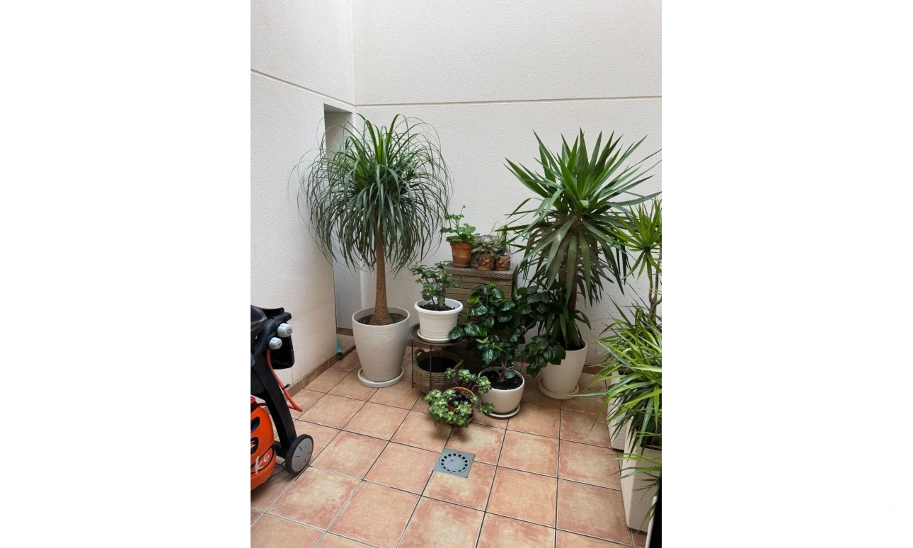 Venta - Casa - Torrevieja - Punta Prima