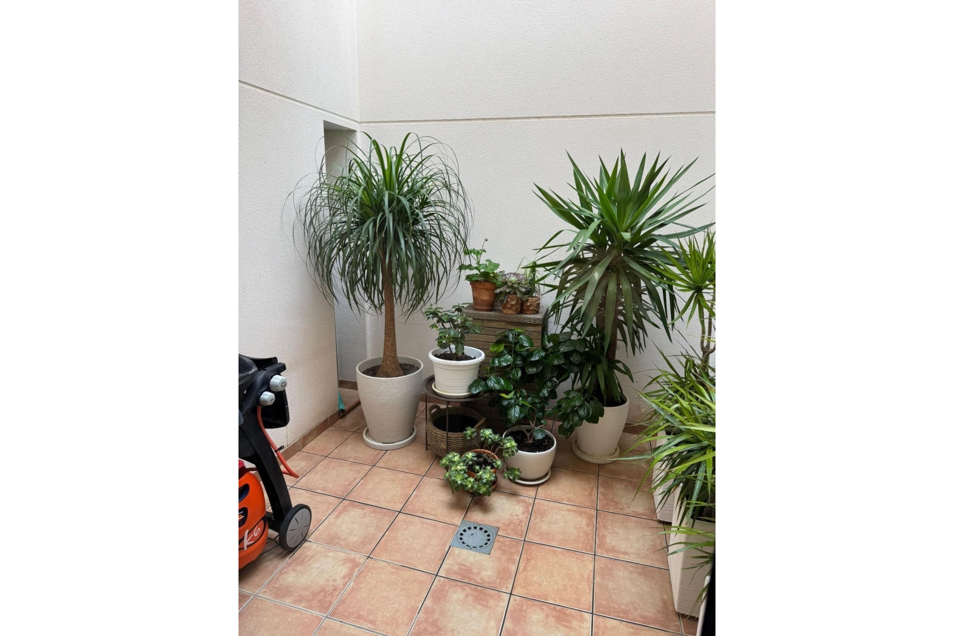 Venta - Casa - Torrevieja - Punta Prima