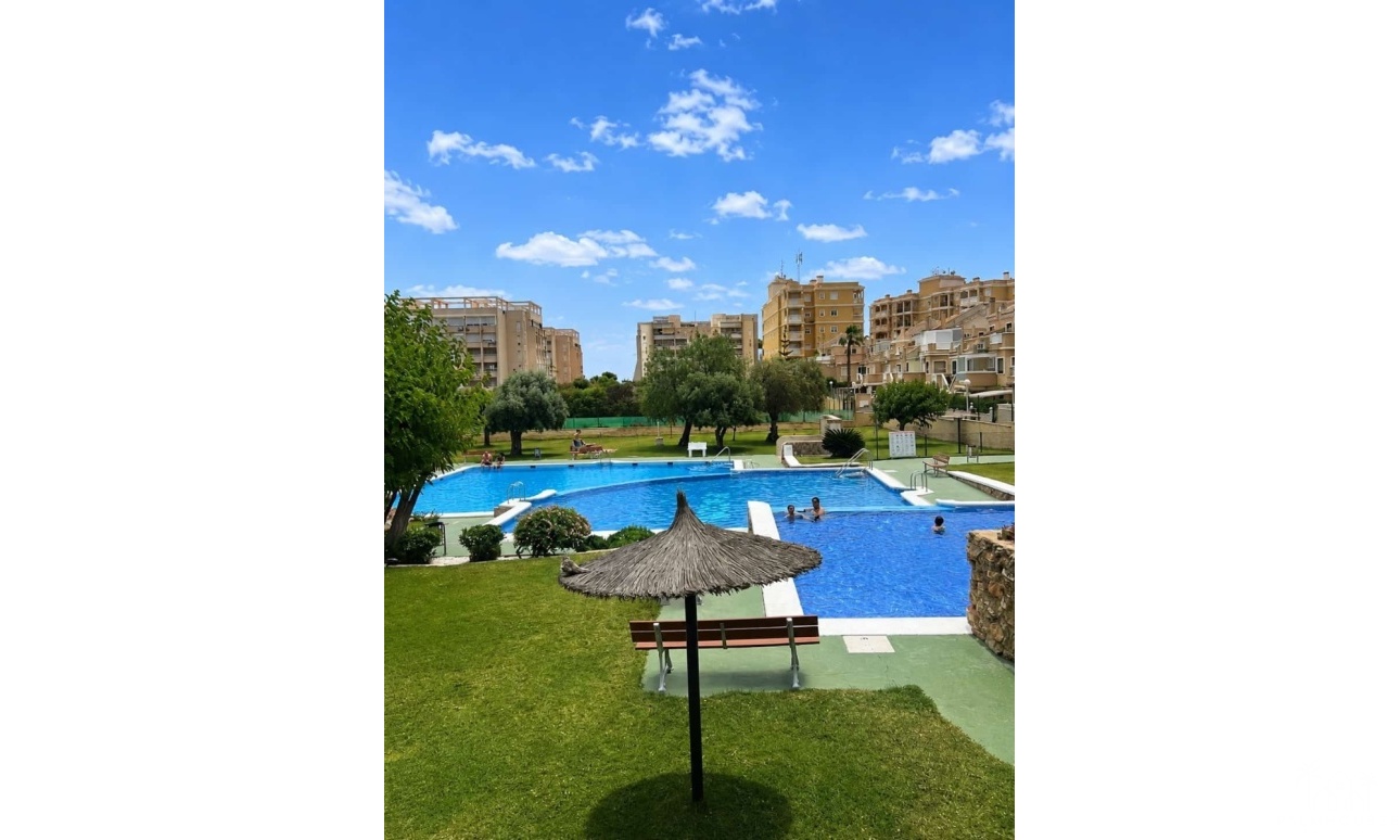 Venta - Casa - Torrevieja - Torreblanca