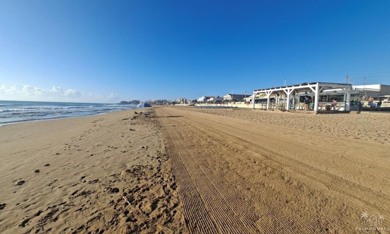 Venta - Casa - Torrevieja - Torrevieja Centro