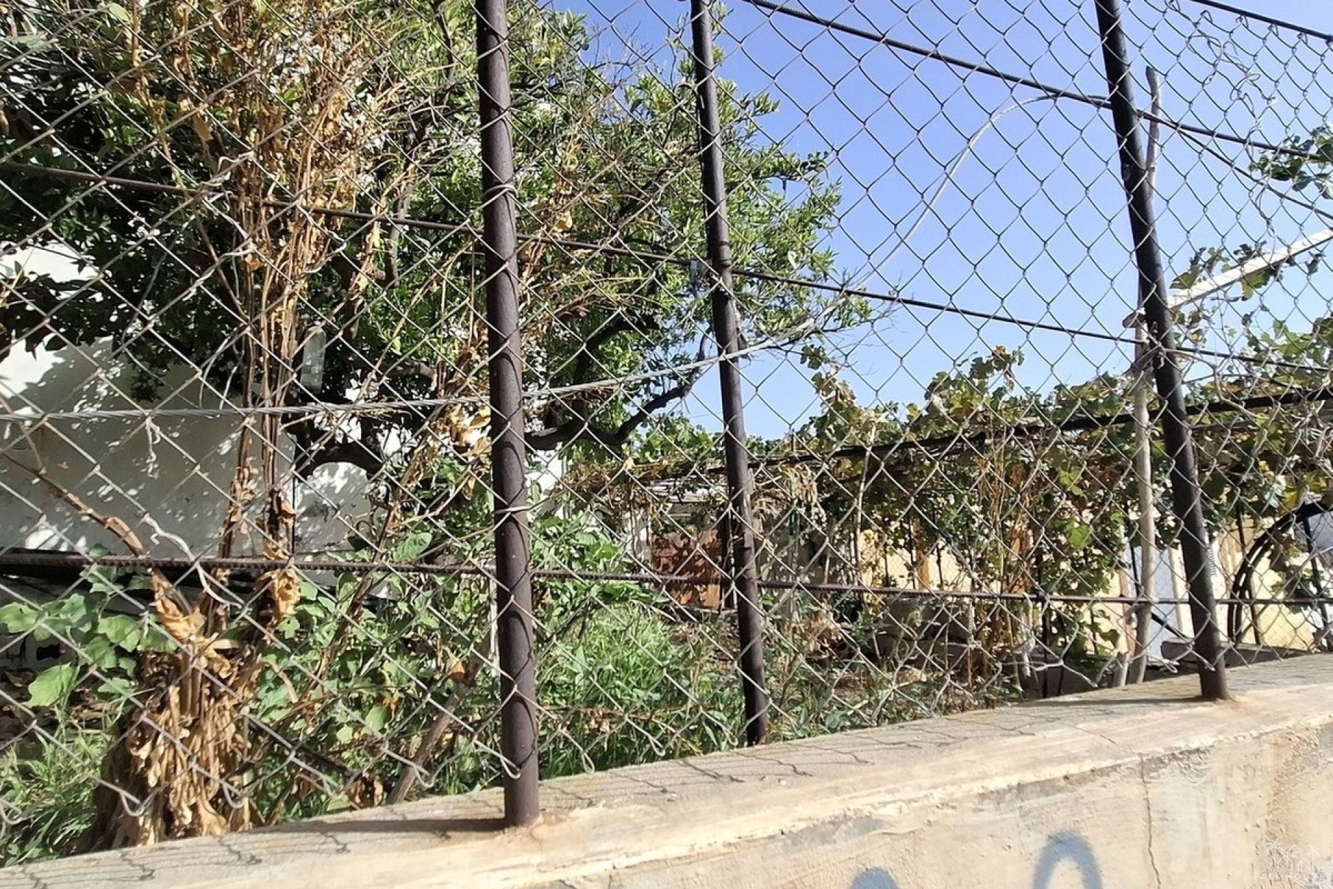Venta - Casa - Turre