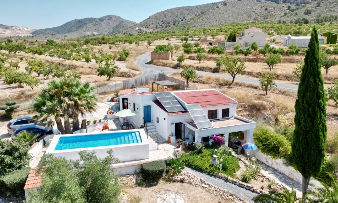 Venta - Comercial - Algueña