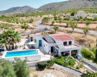 Venta - Comercial - Algueña