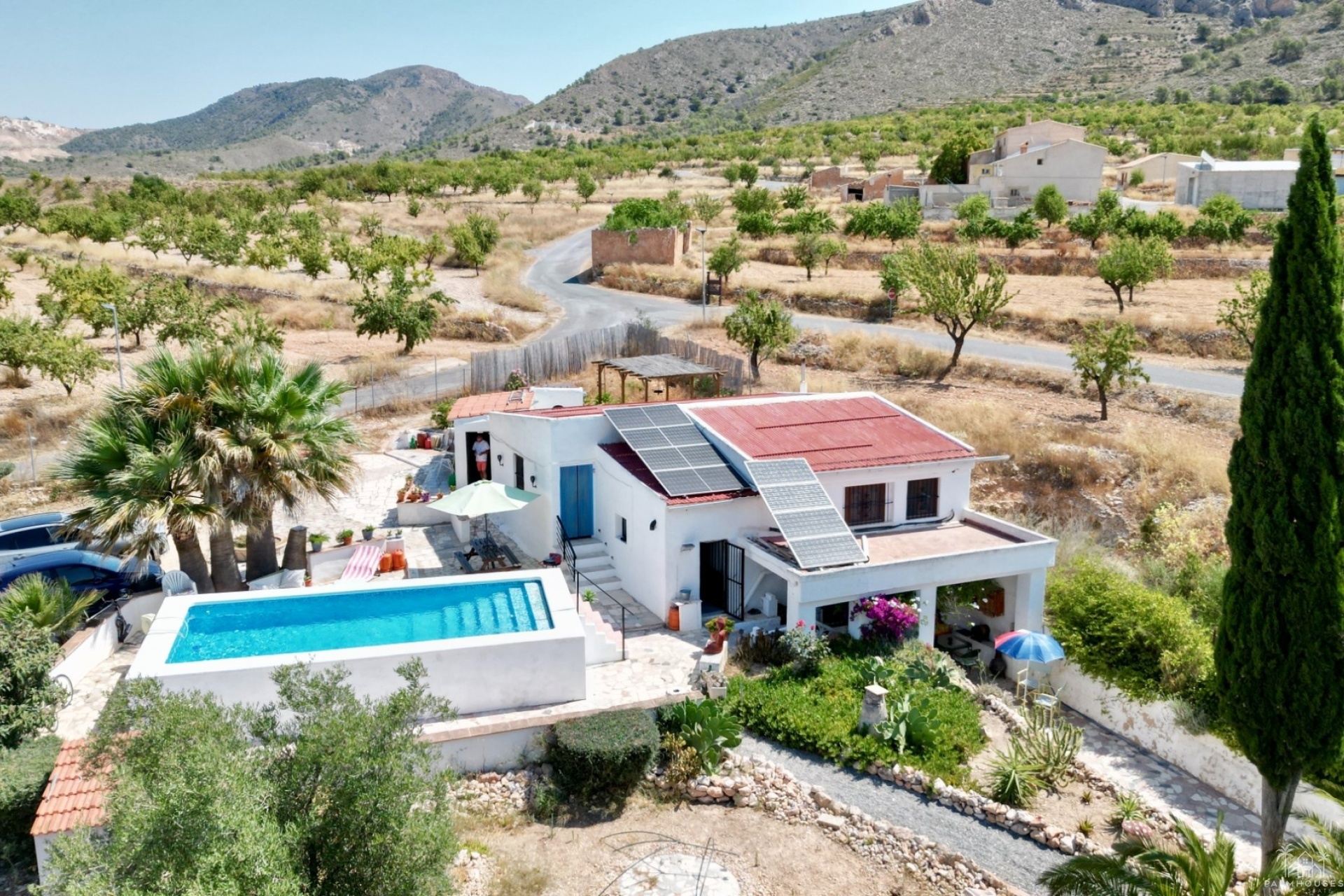 Venta - Comercial - Algueña