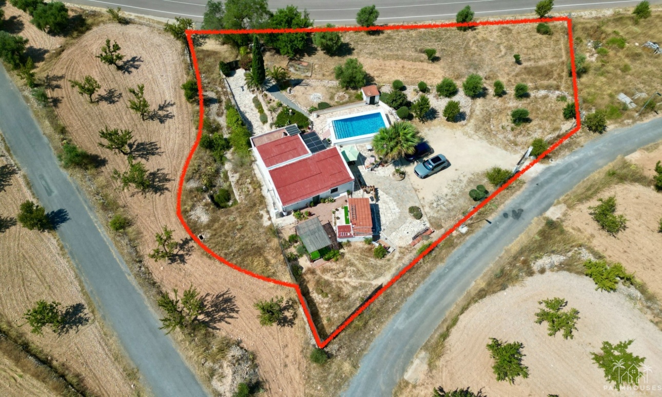 Venta - Comercial - Algueña