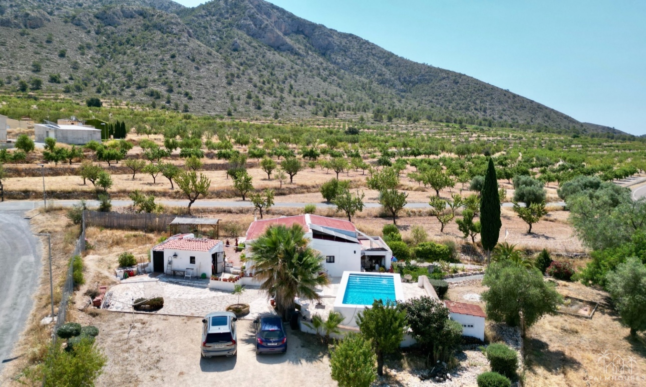 Venta - Comercial - Algueña