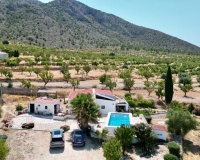 Venta - Comercial - Algueña