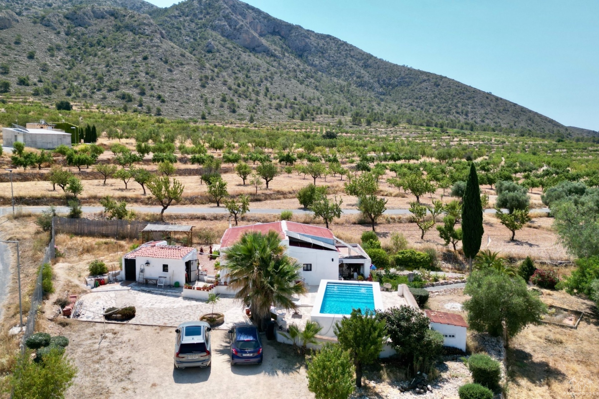 Venta - Comercial - Algueña
