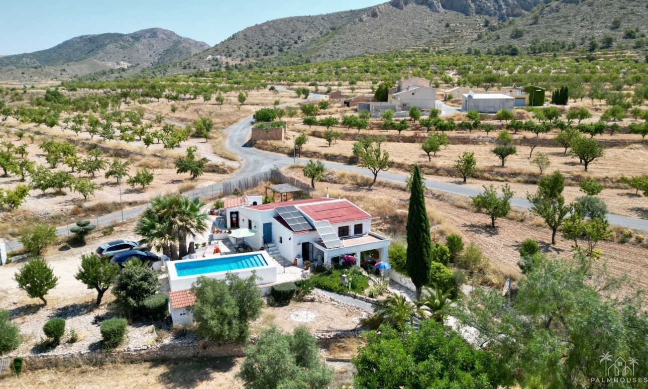 Venta - Comercial - Algueña