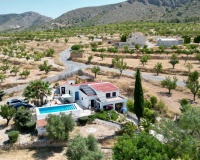 Venta - Comercial - Algueña