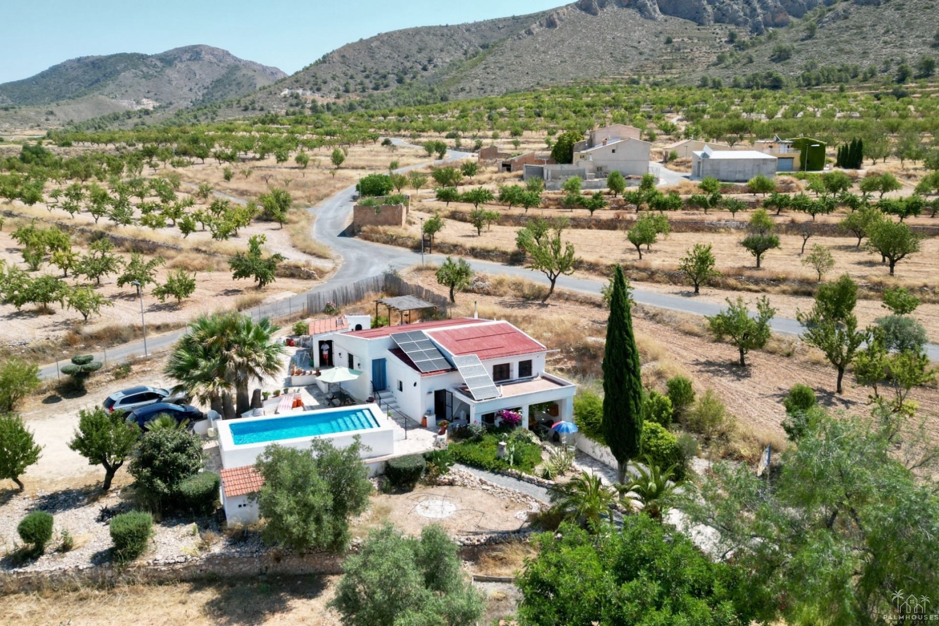 Venta - Comercial - Algueña