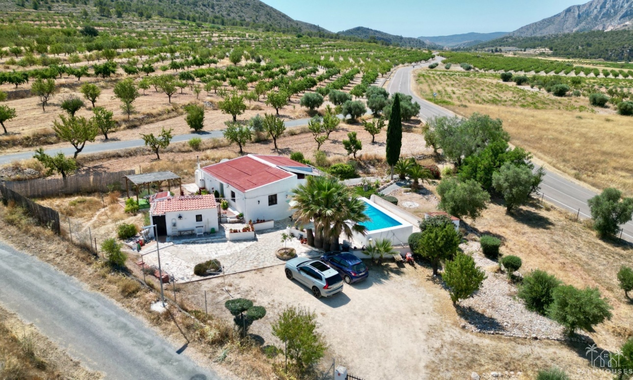 Venta - Comercial - Algueña