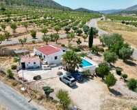 Venta - Comercial - Algueña