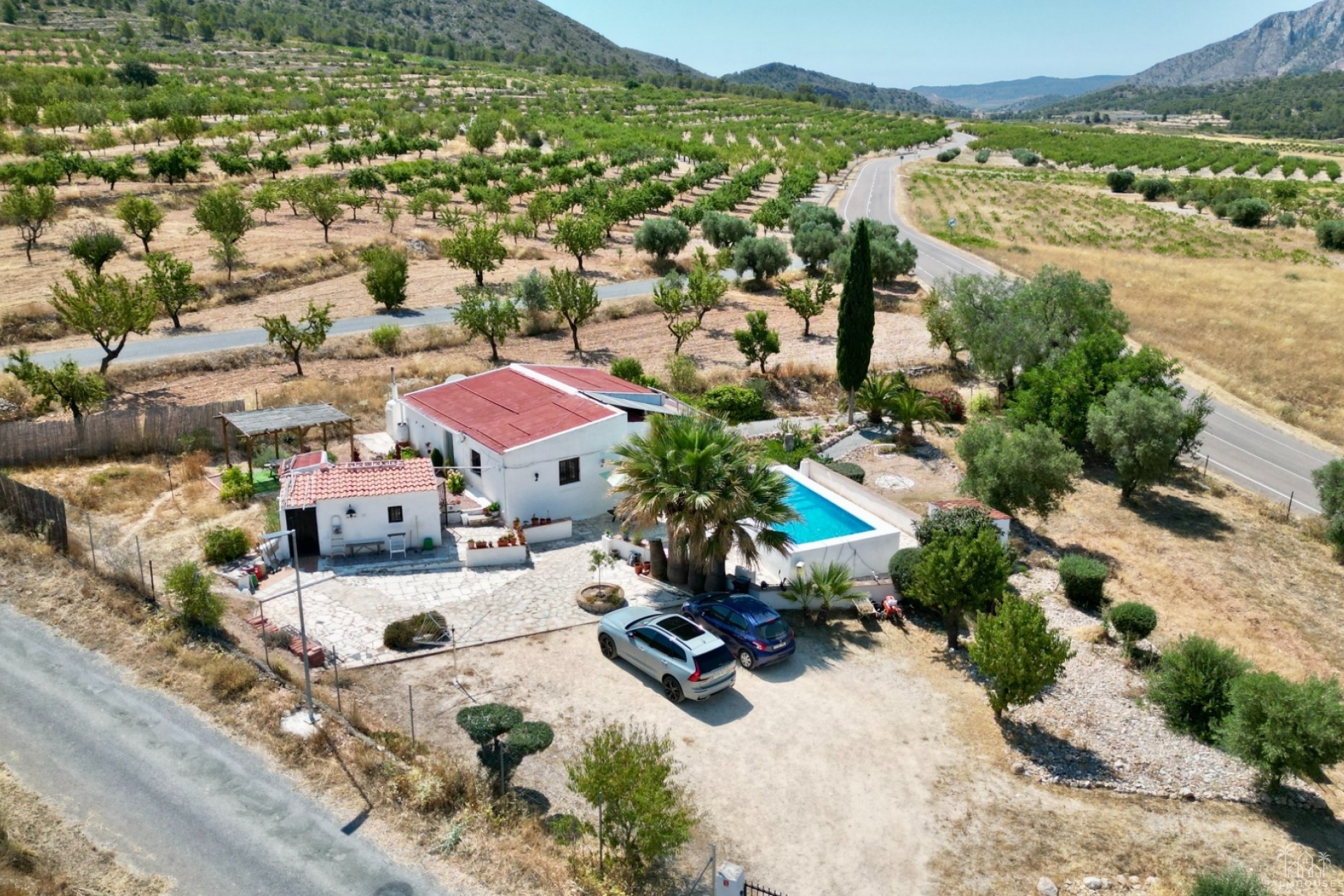 Venta - Comercial - Algueña