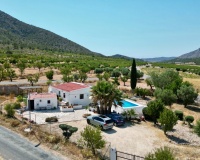 Venta - Comercial - Algueña
