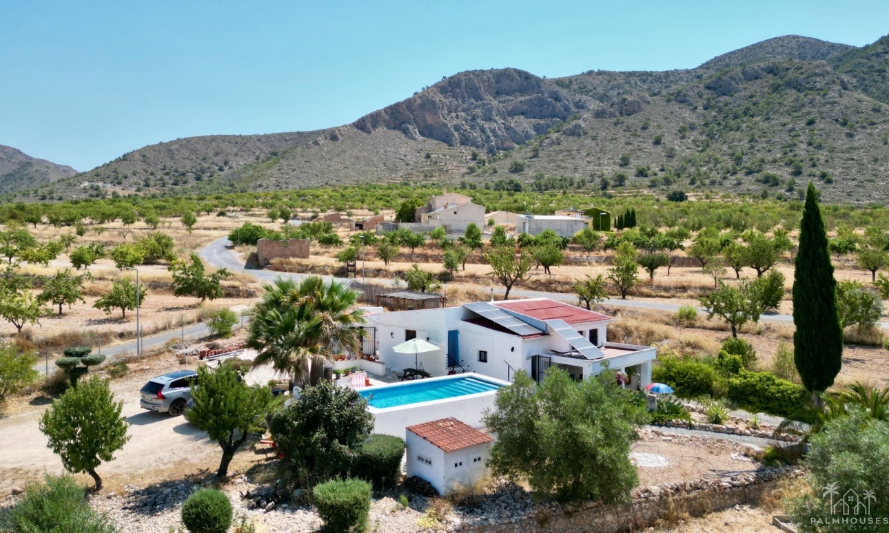 Venta - Comercial - Algueña