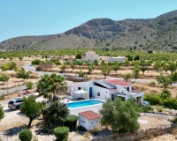 Venta - Comercial - Algueña