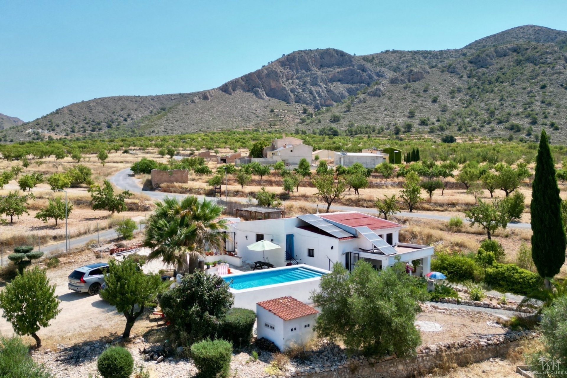 Venta - Comercial - Algueña