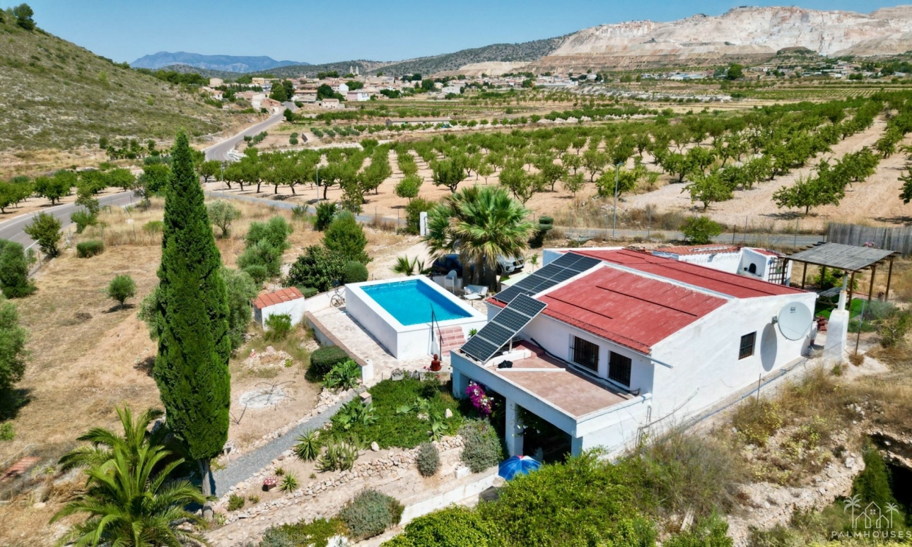 Venta - Comercial - Algueña