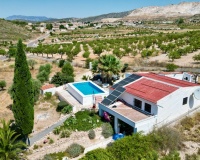 Venta - Comercial - Algueña