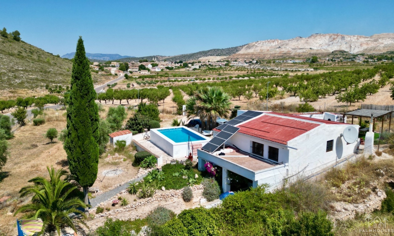 Venta - Comercial - Algueña