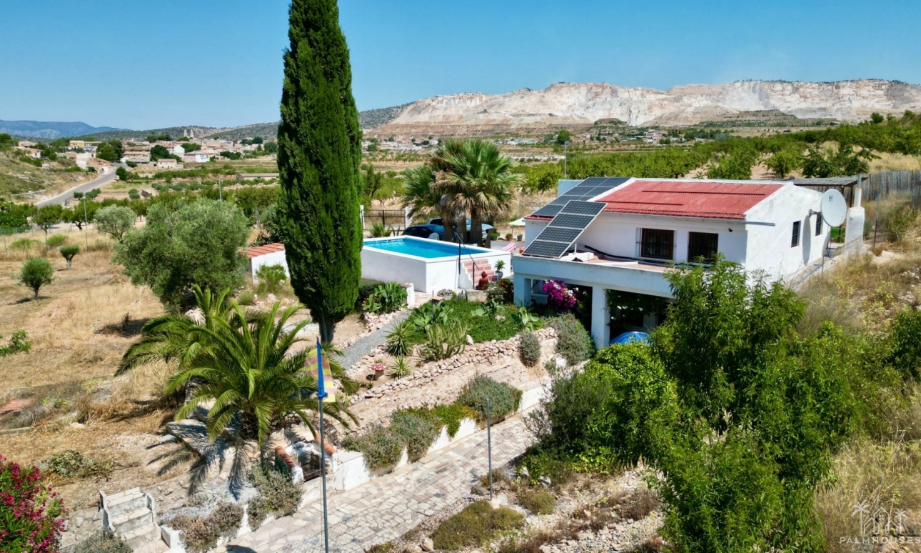 Venta - Comercial - Algueña