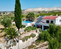 Venta - Comercial - Algueña