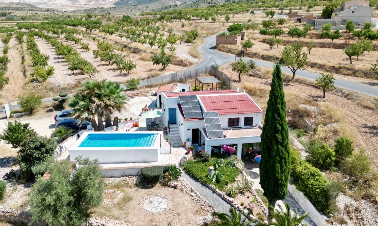 Venta - Comercial - Algueña