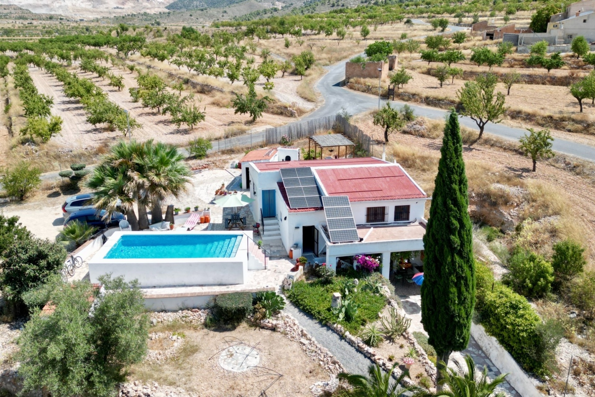Venta - Comercial - Algueña