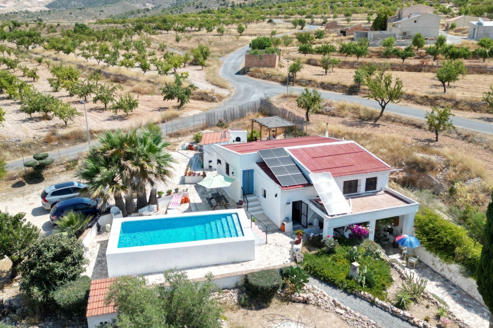Venta - Comercial - Algueña