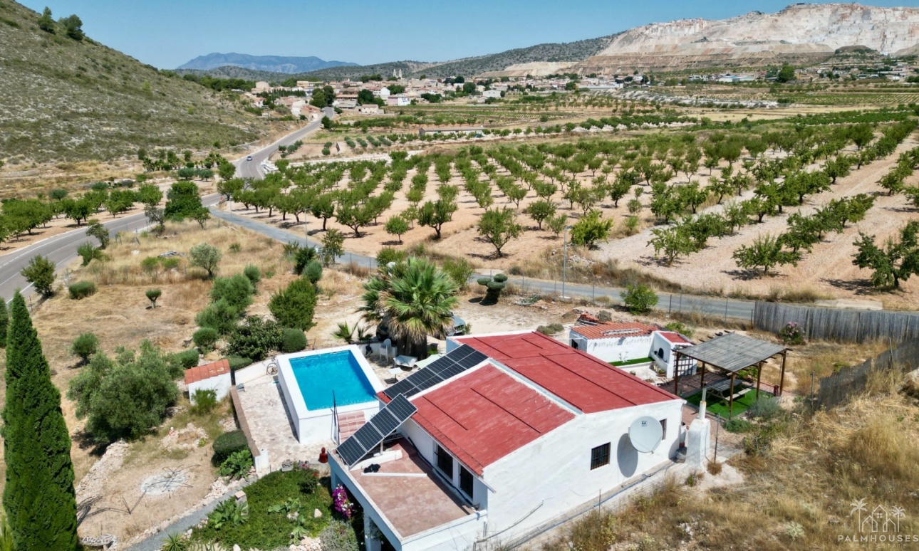 Venta - Comercial - Algueña