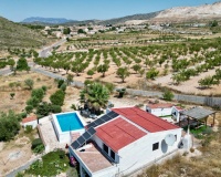 Venta - Comercial - Algueña