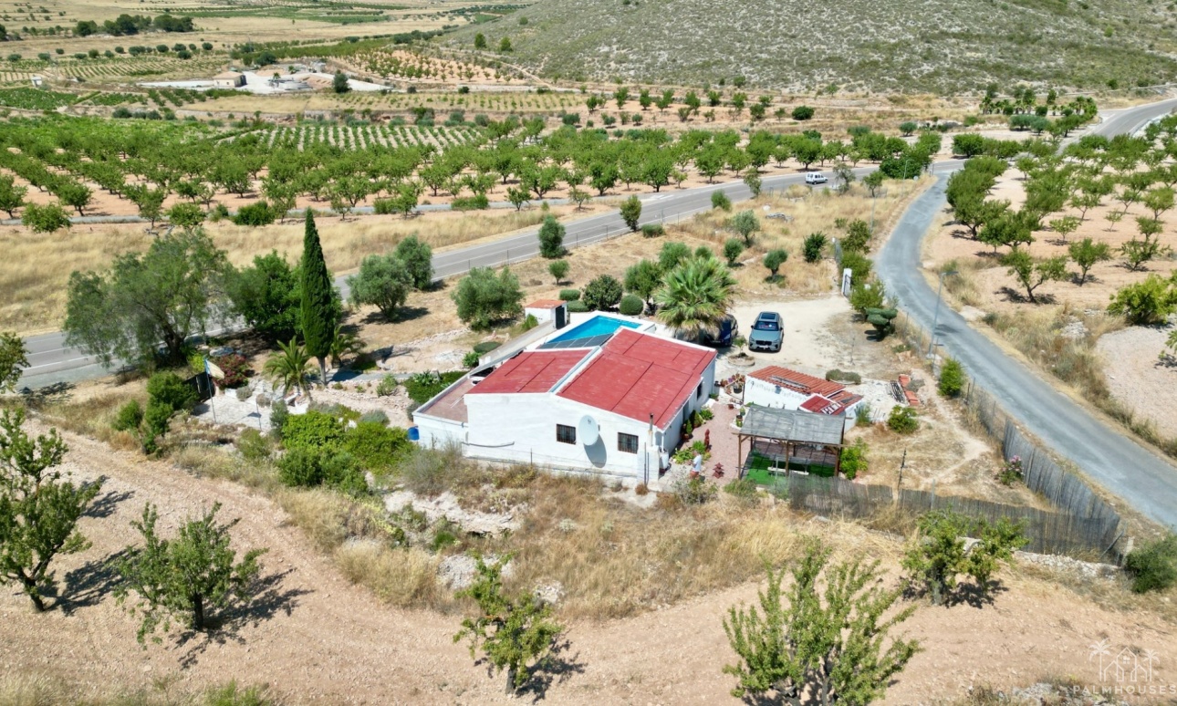 Venta - Comercial - Algueña