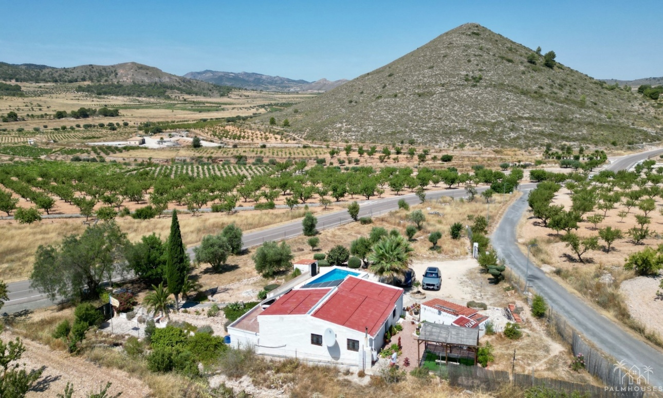 Venta - Comercial - Algueña
