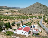 Venta - Comercial - Algueña
