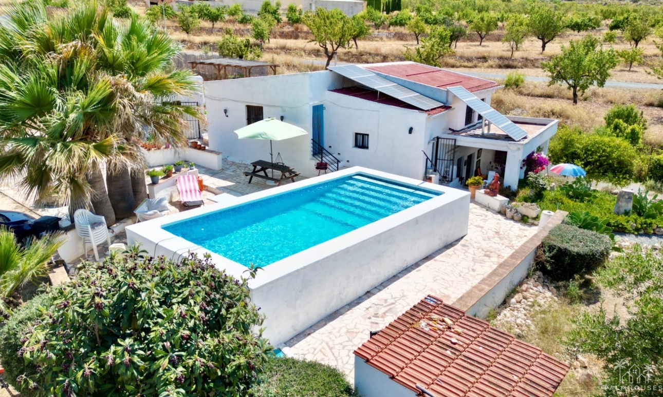 Venta - Comercial - Algueña