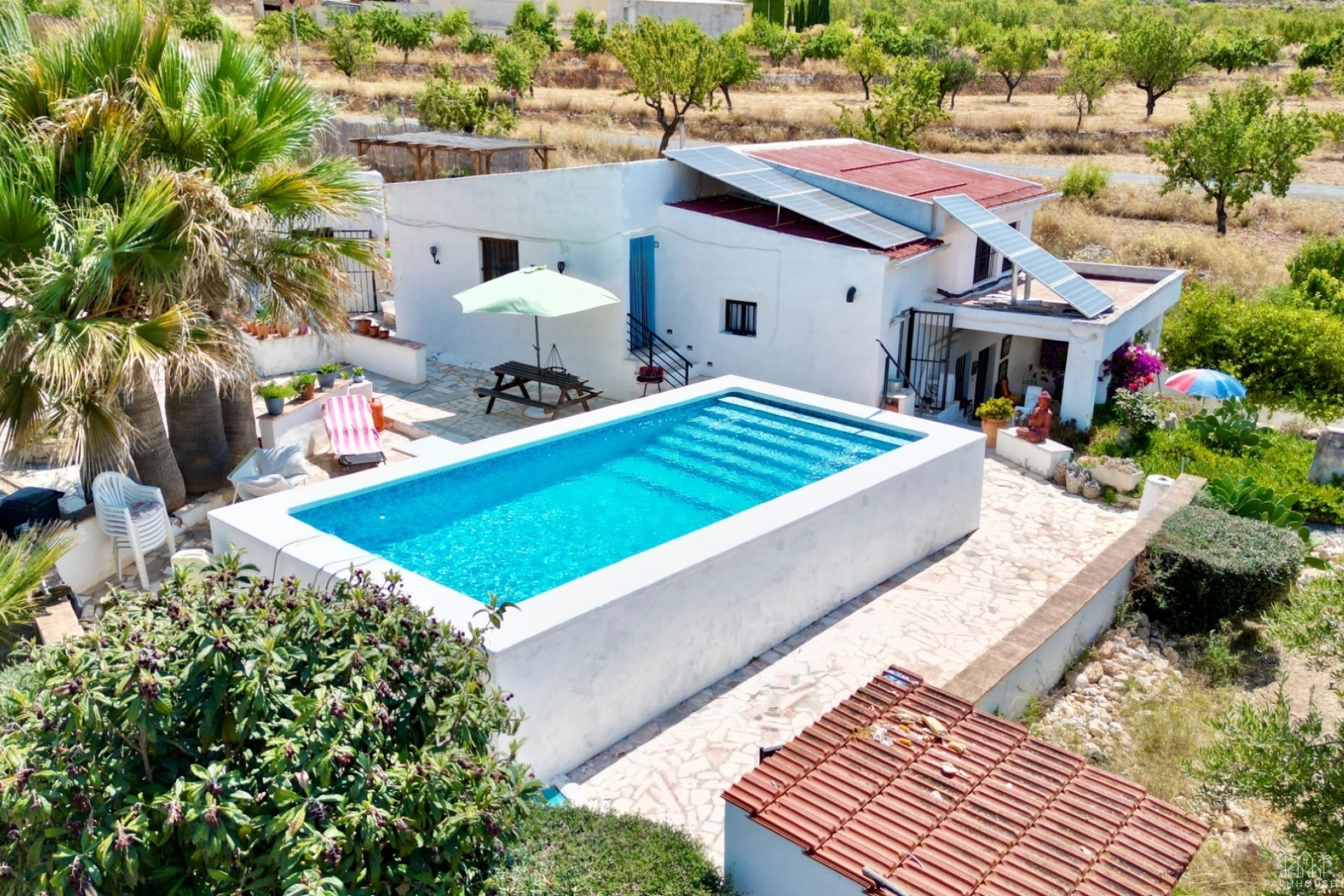 Venta - Comercial - Algueña