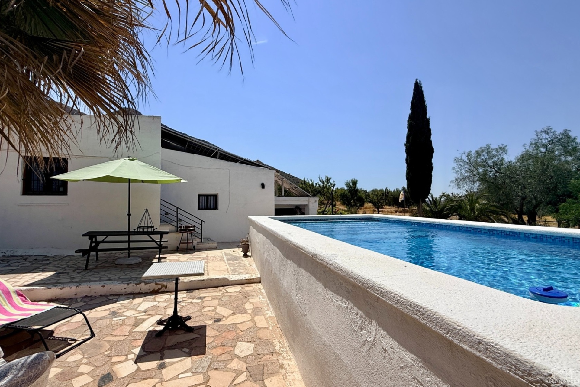 Venta - Comercial - Algueña