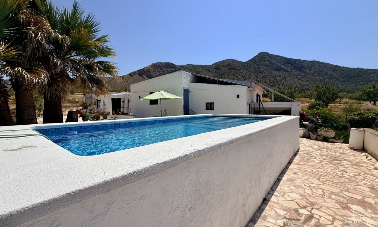 Venta - Comercial - Algueña