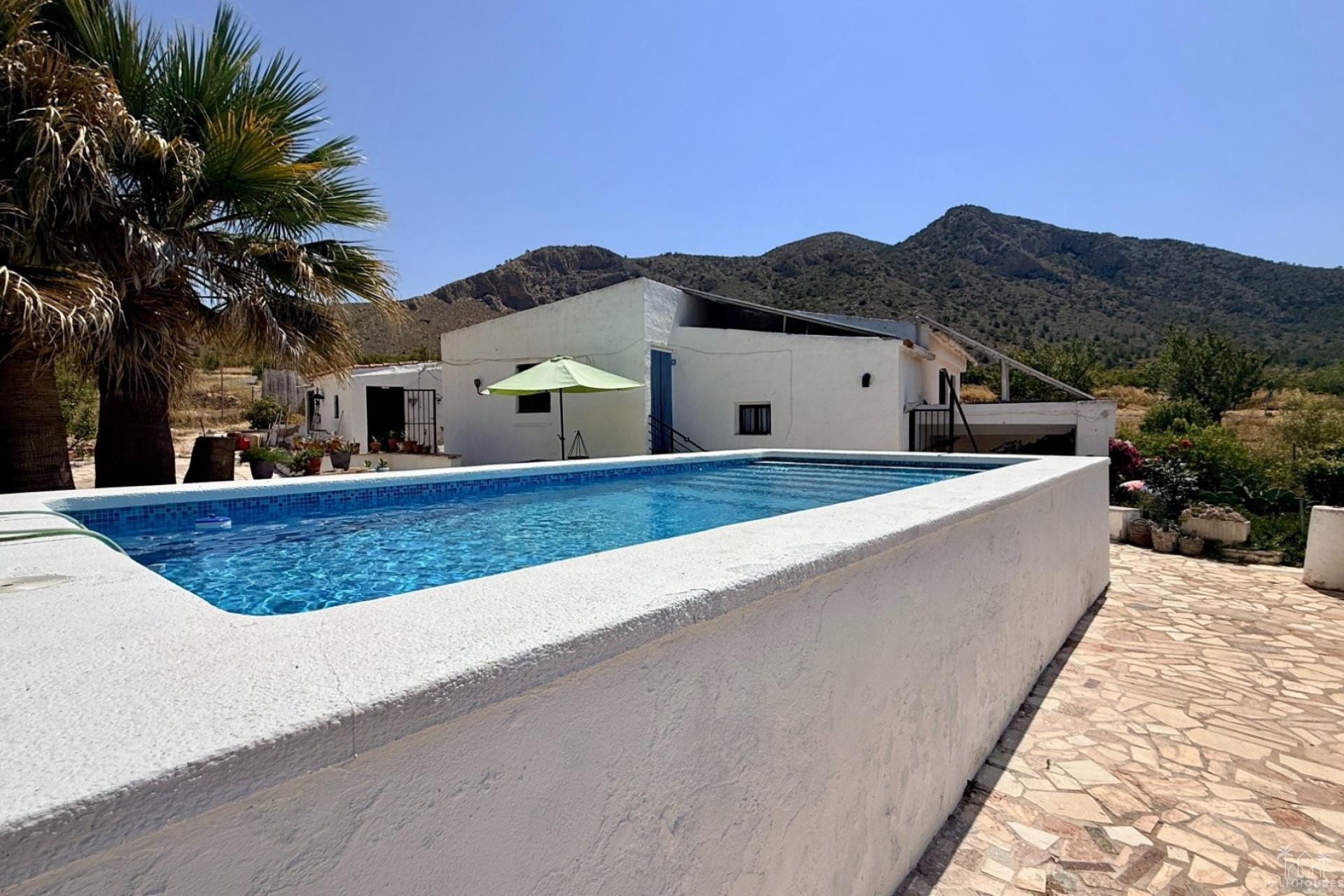 Venta - Comercial - Algueña