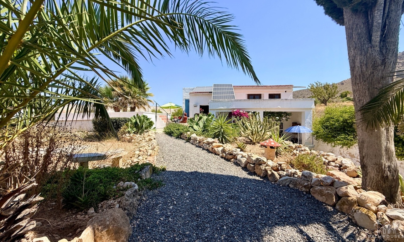 Venta - Comercial - Algueña