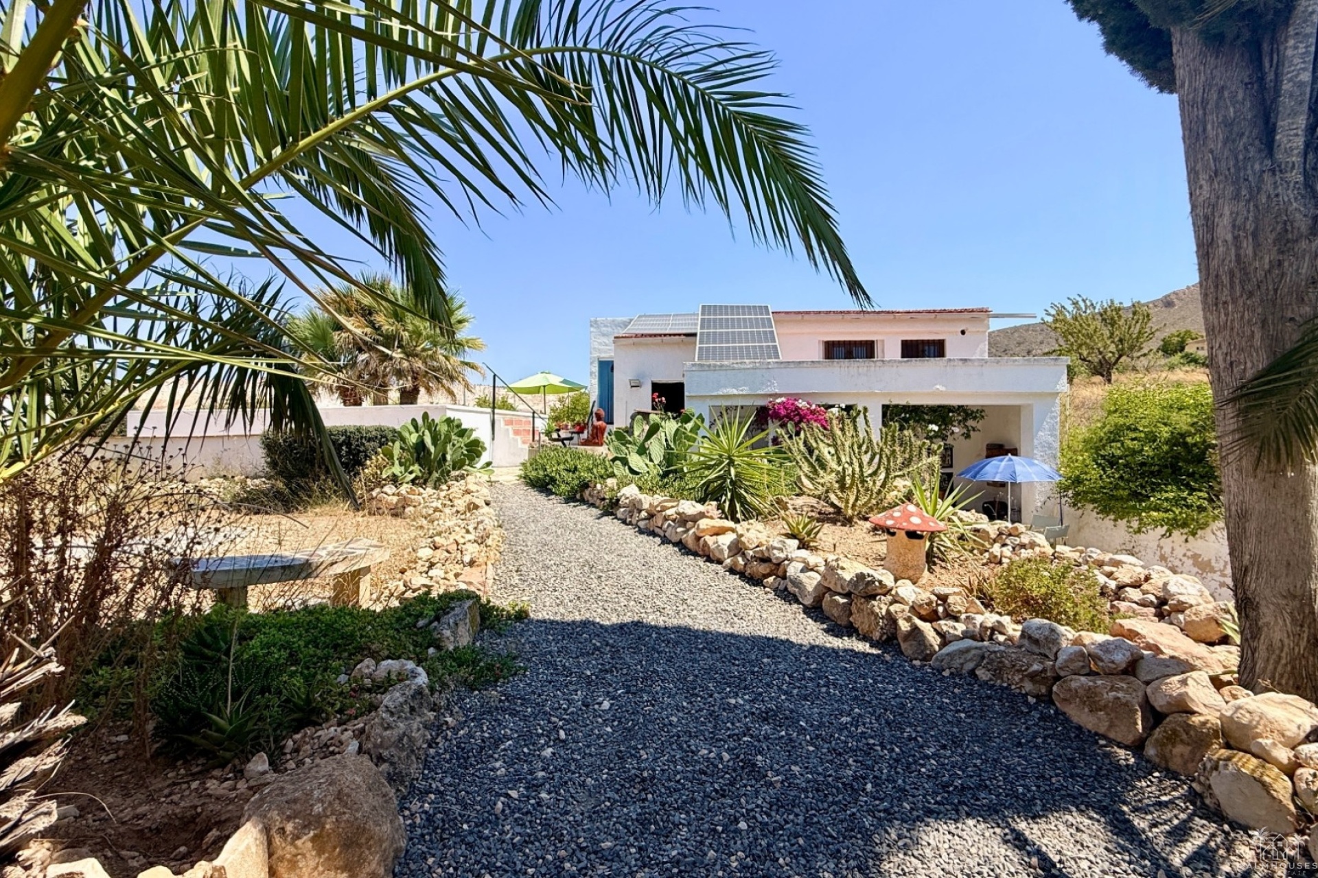 Venta - Comercial - Algueña