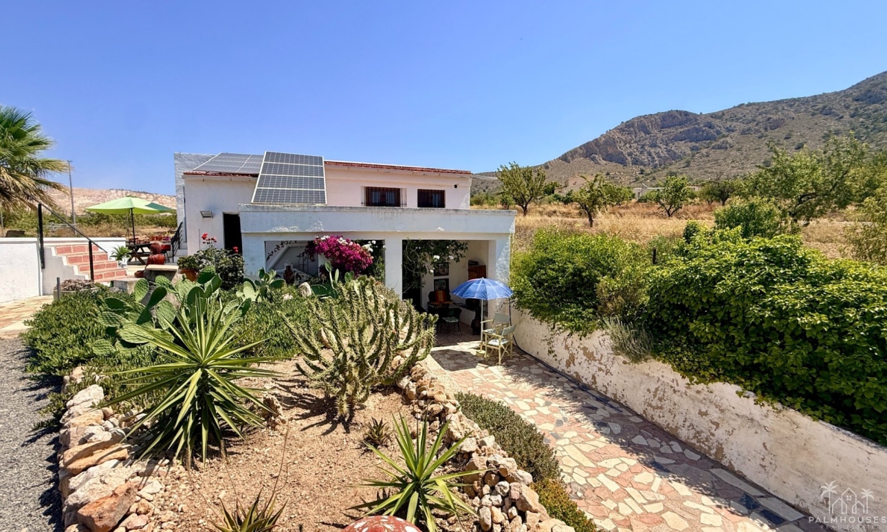 Venta - Comercial - Algueña