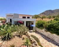 Venta - Comercial - Algueña