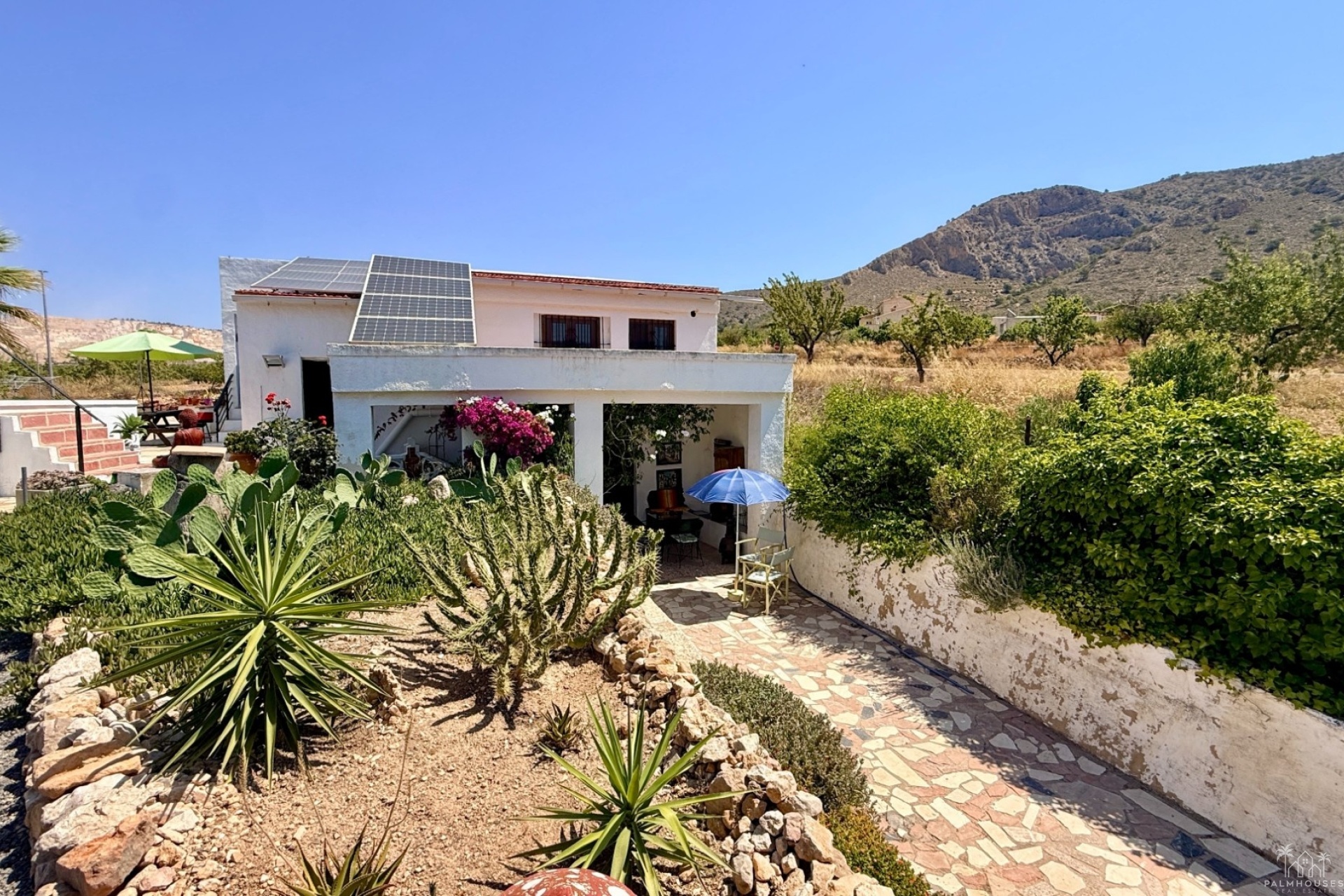 Venta - Comercial - Algueña